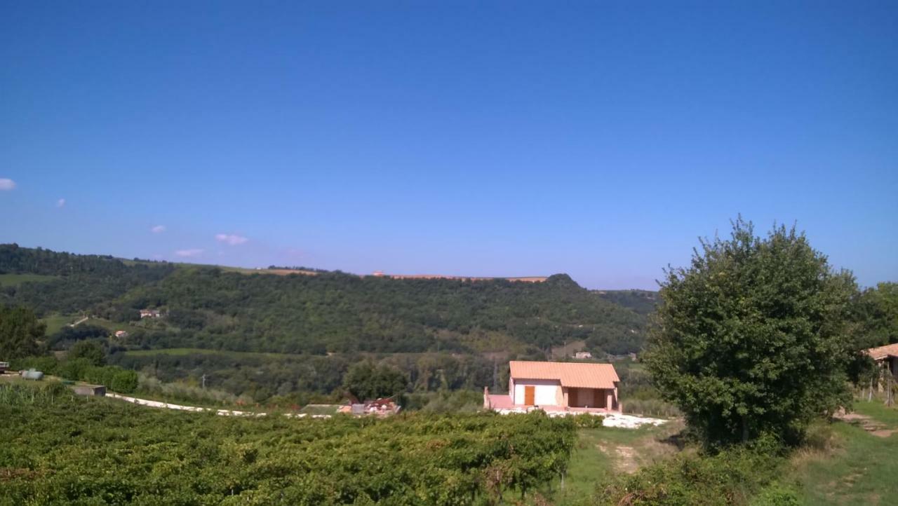 Agriturismo La Vite E L'Ulivo Apartment Baschi ภายนอก รูปภาพ