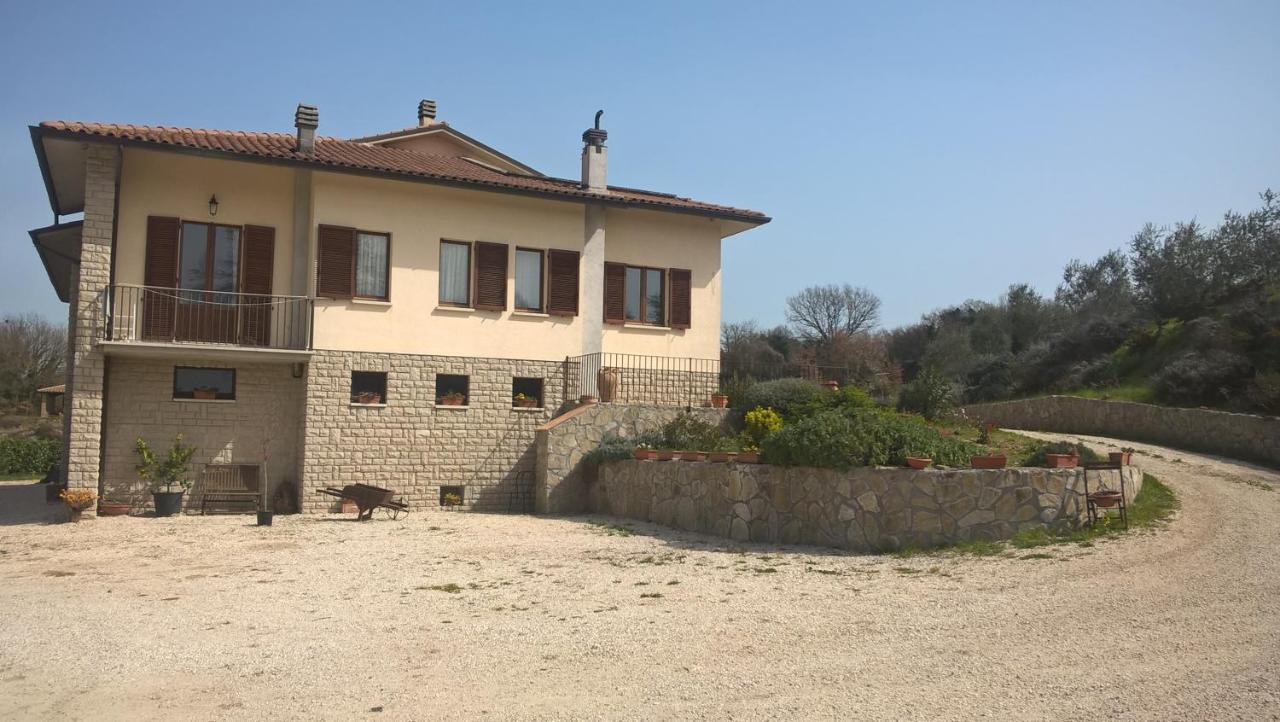 Agriturismo La Vite E L'Ulivo Apartment Baschi ภายนอก รูปภาพ